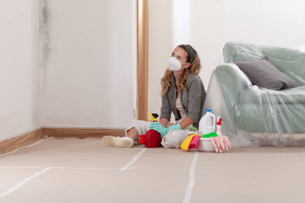 Reliable Commercial Mold Remediation contractor in Peapack, NJ by 24 Hour Mold Removal